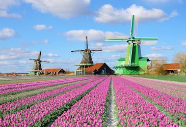 Zaanse Schans Windmill Village Tour with return transfers from Amsterdam